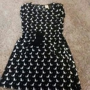 A black and white cat dress